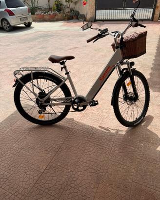 bici elettrica