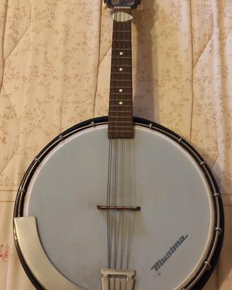 mandolino Musima