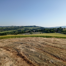 Lotto edificabile 1000mq