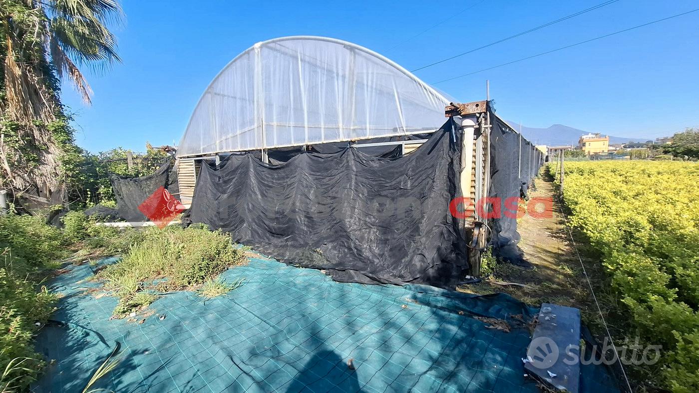 Terreno Agricolo Pompei [Cod. rif 3310779VRG] - Vista 4