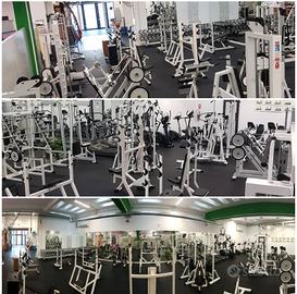 palestra completa PANATTA/TECNOGYM