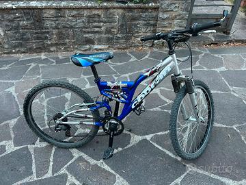 Mountain bike