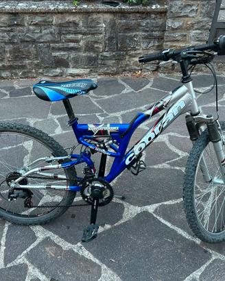 Mountain bike