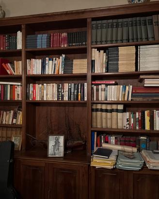 Libreria in legno (solo libreria)