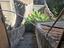 Immagine 28