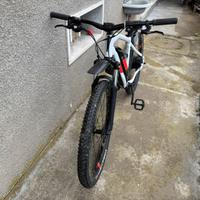Mountbike Eletrica con pedalata assistita