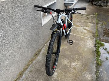 Mountbike Eletrica con pedalata assistita