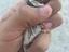 Immagine 3