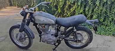 Ducati scrambler 250 1968