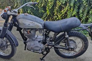 Ducati scrambler 250 1968