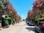 Immagine 28