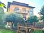 Immagine 22