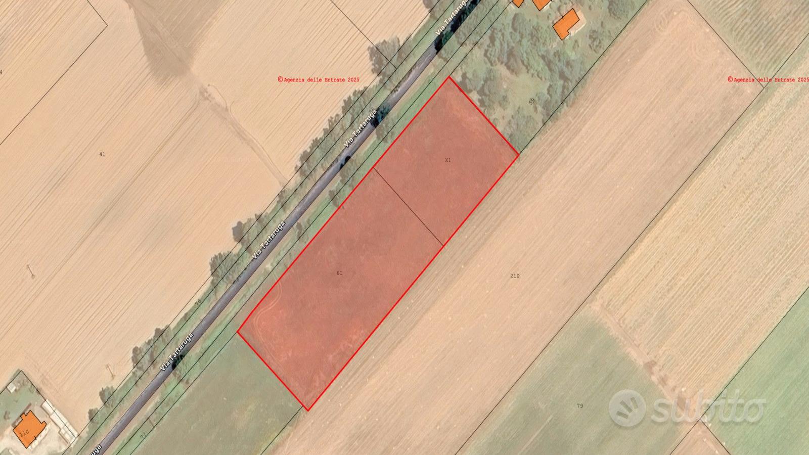 Sabaudia (LT) - Terreno 8.000 mq con pozzo | TR454 - Vista 4