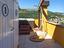 Immagine 26