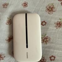 saponetta per internet router