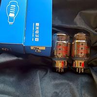 Coppia Valvole SHUGUANG KT100  Matched   NUOVE