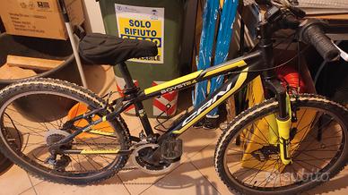 bicicletta ragazzo 24 pollici Carnielli usata 