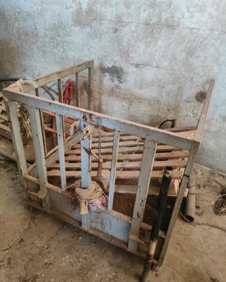Ceste per trattore