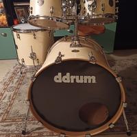 Batteria DDrum Dios acero nord americano