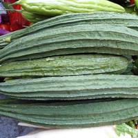 Semi di spugna vegetale, zucca Luffa (50 semi)