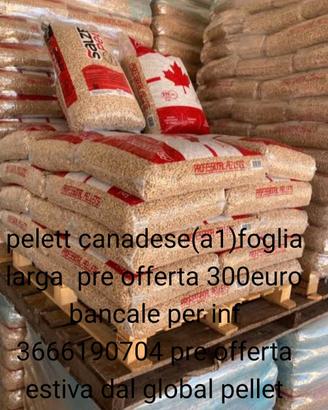 pellet 
