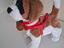 Immagine 3