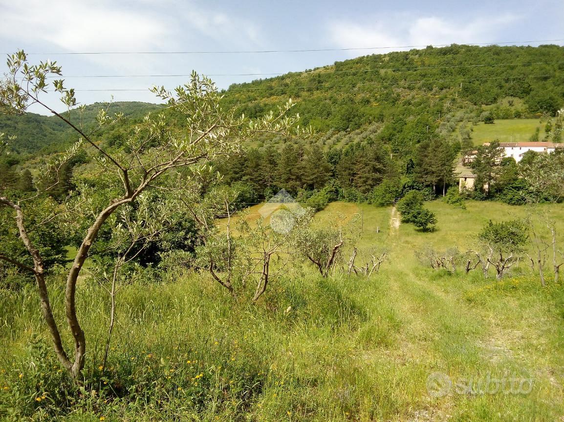 RUSTICO A ALVITO - Altro