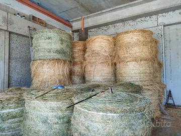 Fieno 1° e 2° taglio in rotoballe