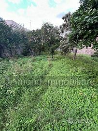 Terreno edificabile 1000mq a Giarre