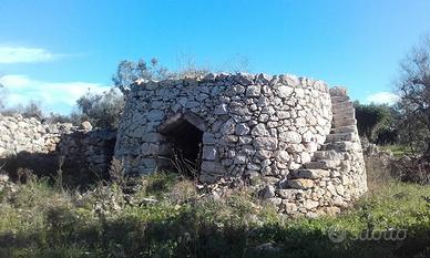 Terreno agricolo con trullo
