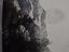 Immagine 11
