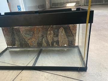 Acquario