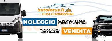 Noleggio Auto, Furgoni gancio Traino e 9 posti