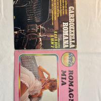 2 LP 33 giri musica folk