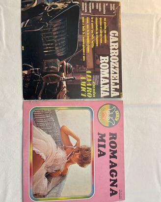 2 LP 33 giri musica folk