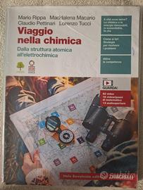 Viaggio nella chimica  - ISBN 978-88-08-30734-7