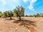 Immagine 26