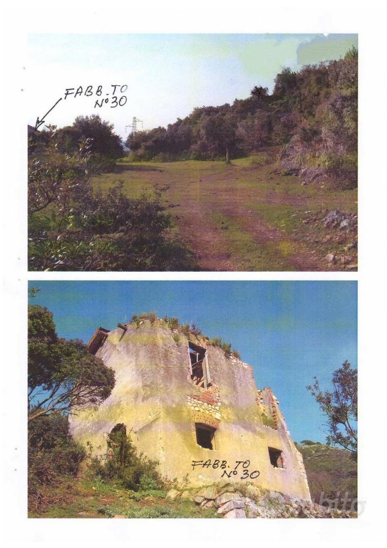 Terreno olivato con unità collabente di 146 mq - Vista 4