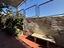 Immagine 29