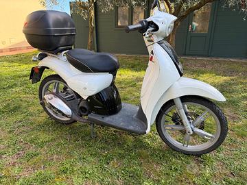 SCARABEO BIANCO CON BAULETTO