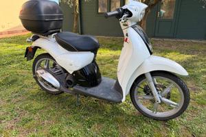 SCARABEO BIANCO CON BAULETTO