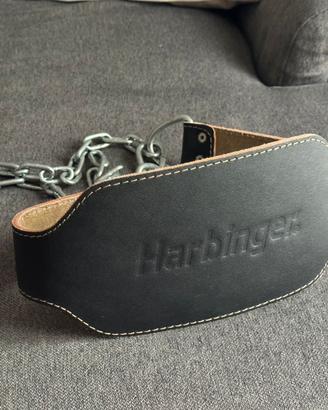 Cintura pesi Harbinger pull up