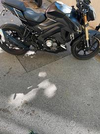 Rkf 125 2024