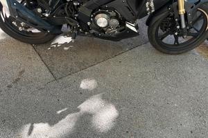 Rkf 125 2024