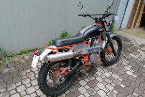 Honda Dominator scrambler perfetto _ FMI