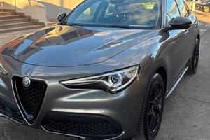 Splendida Alfa Romeo Stelvio 2.2