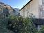 Immagine 23