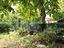 Immagine 27