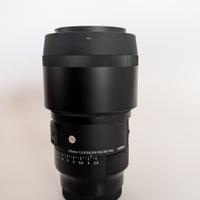 Sigma obiettivo 105mm (Sony)