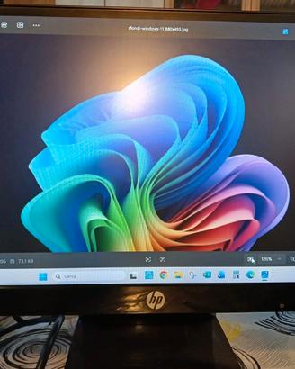 Monitor 21.5" HP 22VX LED  USATO